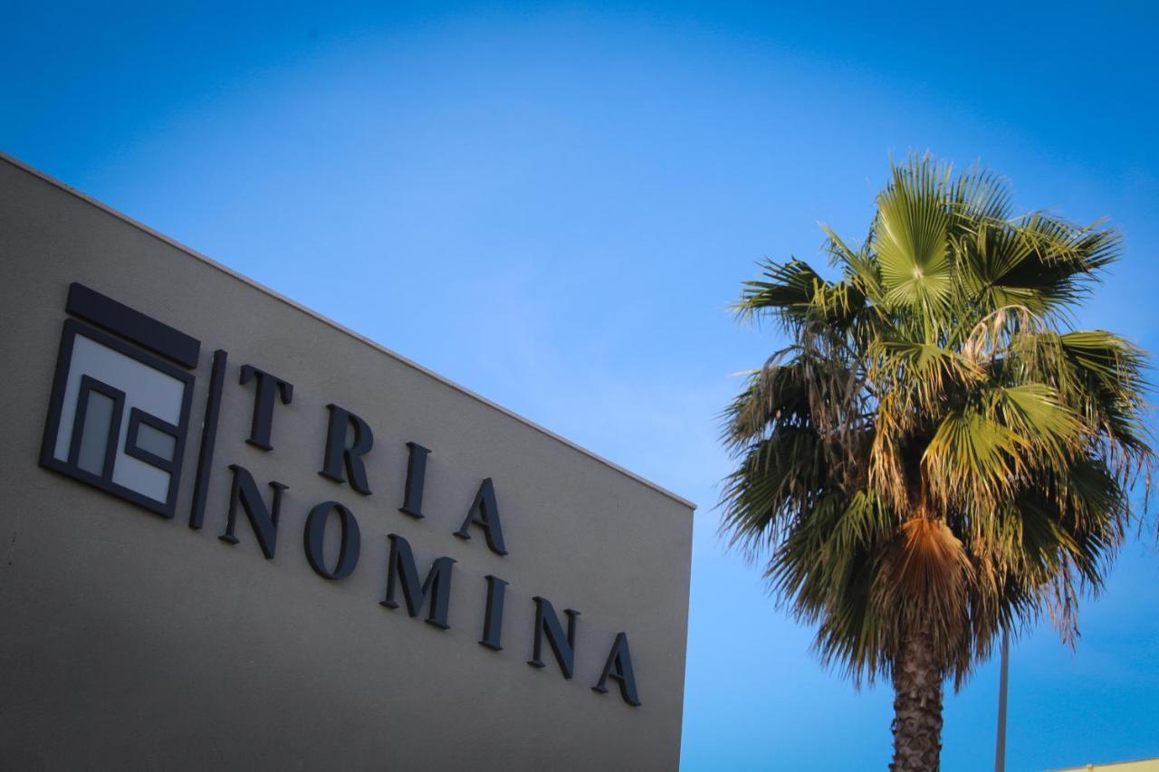 Tria Nomina Apartamentos Turisticos Mérida Dış mekan fotoğraf